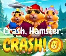 Crash-Hamster